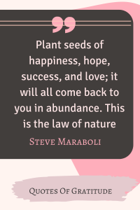 30 Life Changing Quotes of Abundance