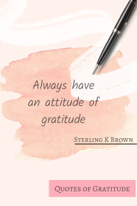 30 Uplifting Gratitude Quotes 