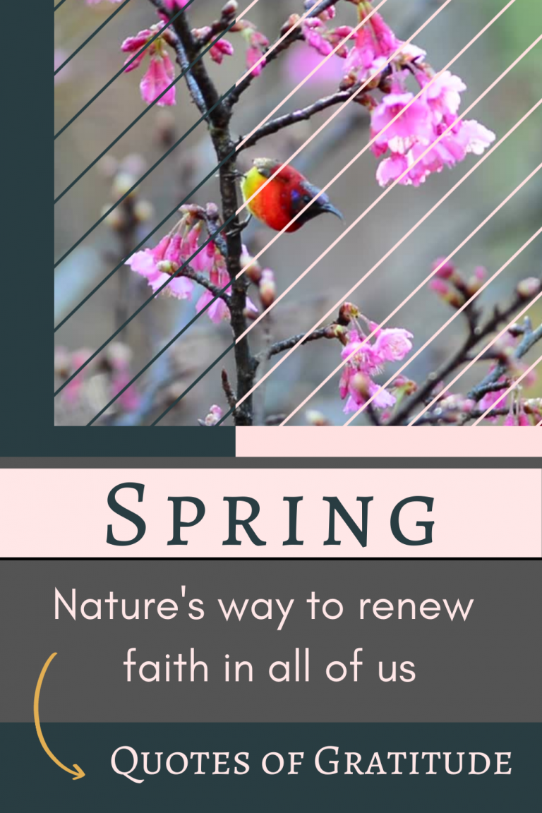 Spring Quotes That Will Inspire You